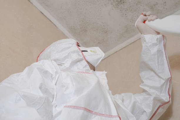 Best Residential Mold Remediation in Runge, TX